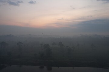 Misty morning landscape in the Amazon at dawn with fog and trees