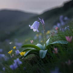 butterfly on a flower