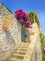 Obraz premium Landscape in Sudurad, one of the Elaphiti islands near Dubrovnik, Croatia