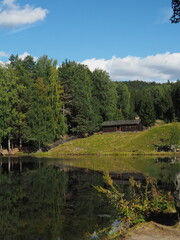 Obraz premium OLYMPUS DIGITAL CAMERA