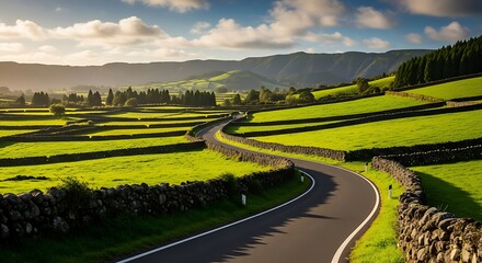 Serene Country Road Winding Through Verdant Fields Under a Blue Sky