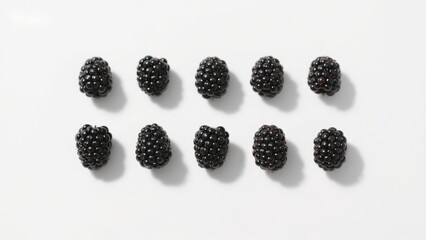 Ten blackberries arranged in two rows on a white background