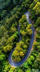 A winding road snakes through a lush forest canopy, seen from a high-altitude perspective. Vivid green and yellow foliage surrounds the dark paved roadway, creating a striking contrast.