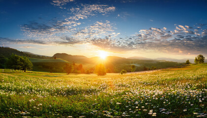 Panorama Rural Landscape With Sunrise And Blossoming Meadow