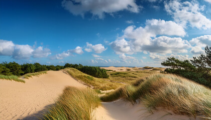 Sunny Sandy Dunes With Grass And Trees Under A Bright Blue Sky Filled With Fluffy White Clouds