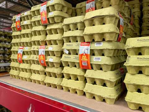 Cardboard egg trays on supermarket shelves. Common scene in stores like Walmart, Costco, Carrefour, Aldi, Tesco, Kroger, Target, or Mercadona. Guadalajara, Jalisco, Mexico, June 24, 2025. Bachoco