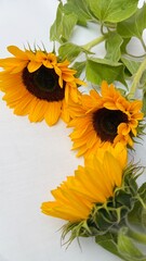 sunflowers on a wooden table