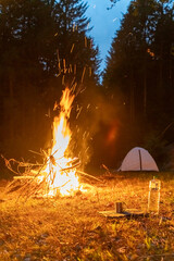 Go camping in the forest