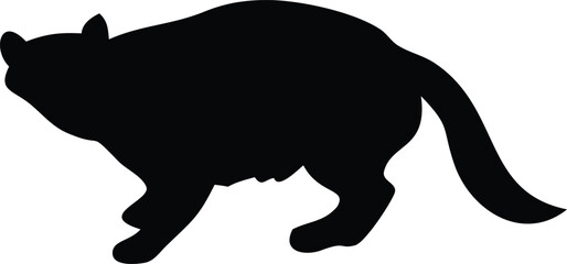 Mysterious Silhouette A Feline Figure in Shadow a Glimpse of the Animal Kingdom Captured in Bold Darkness