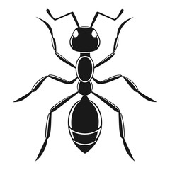 ant isolated on white background