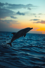 Fototapeta premium A Spectral Dolphin Soaring From Midnight 1 00003 .Jpg