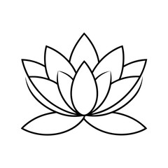lotus flower vector illustration