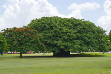 Coral Gables &egrave; una parte consolidata della pi&ugrave; ampia area metropolitana di Miami, nel sud della Florida.