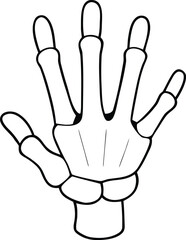 White Skeleton Hand with Bony Fingers on Transparent Background