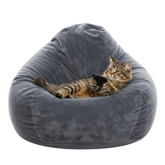 Tabby cat relaxing in beanbag chair with smartphone isolated on transparent background