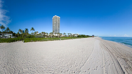 Tropical Coastline in Miami, Florida. Blue Sky, Sand, and Palm Trees