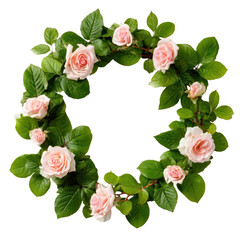 A circular wreath of light pink roses and lush green leaves, perfect for romantic or spring themes. background removed