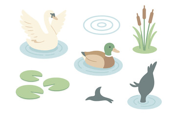 Waterfowl Pond Serenity. Isometric vector illustration set waterfowl pond swim dive: swan spreading wings, duck paddling gently,