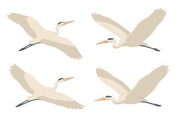 Obraz premium Heron Soaring Elegance. Isometric vector illustration set avian wing span soar: heron wings extended, gliding body posture, long