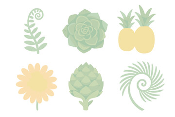 Fibonacci in Flora. Isometric vector illustration set Fibonacci in plants: fern frond spiral, succulent rosette pattern,