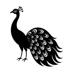 peacock vector illustration