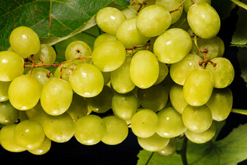 Bunch of grapes, a beautiful bunch of grapes positioned on a reflective surface, selective focus.