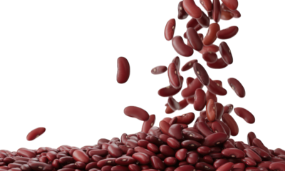 Falling kidney beans against a dark background, some piled at the bottom