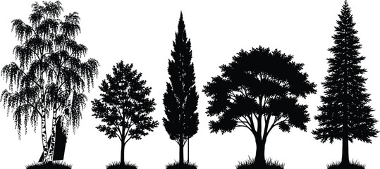 Fototapeta premium Set of five tree silhouettes with varied shapes including weeping, conical, and spreading canopies, vector icons for nature and landscape design