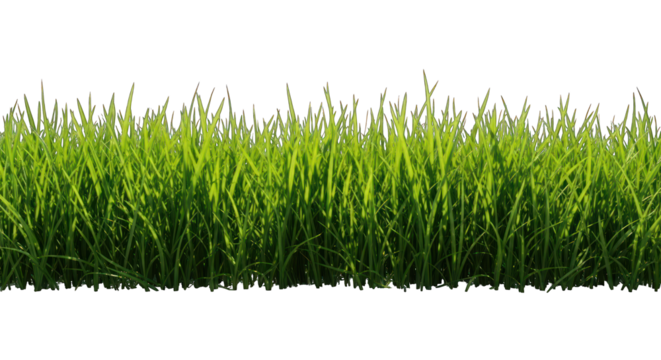Lush green grass patch with bright illumination against a black backdrop