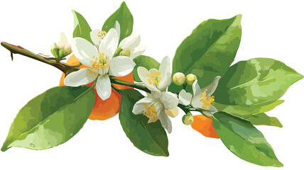 Naklejka premium Vibrant Fresh Orange Blossom on Orange Branch