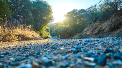 Ground Level Rugged Rural Road Sunlit California Hillside and Trees