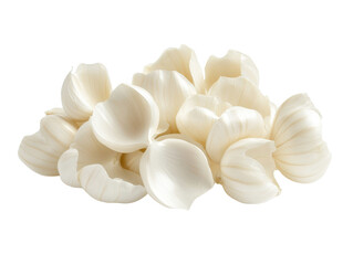 Fresh Raw Garlic Cloves for Cooking and Health Benefits
