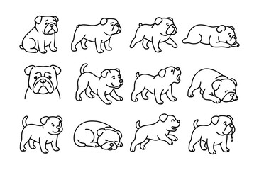 Obraz premium Adorable bulldog sketch set: playful poses and expressions for dog lovers