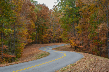 Naklejka premium Scenic view of the Natchez Trace Parkway in autumn, with a curving two-lane road winding through colorful fall foliage in Tennessee. Peaceful, tree-lined route known for historic and natural beauty