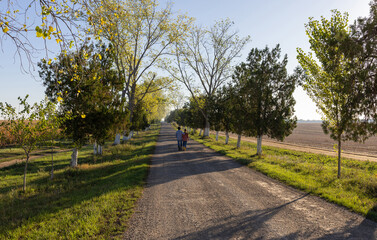Lovers strolling next to farm fields