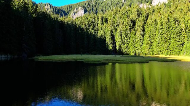 A breathtaking video of a mountain lake surrounded by tall pine trees and rocky mountains. The crystal-clear water creates a mirror-like reflection of the forest and peaks, offering a tranquil and maj