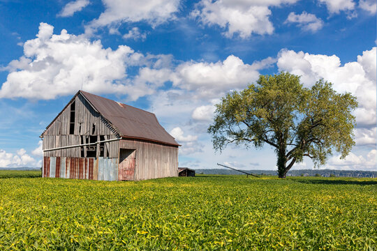 Scenic rural landscape with a rundown barn in northern Missouri countryside