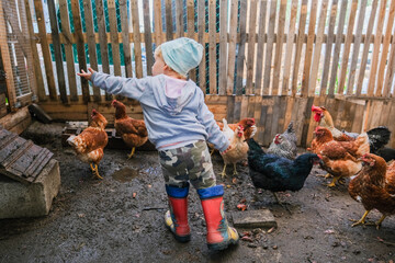 Little girl in chicken coop looking at chickens © Serg