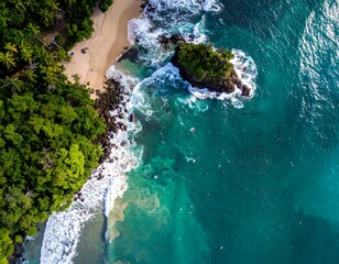 Tropical beach cove from above