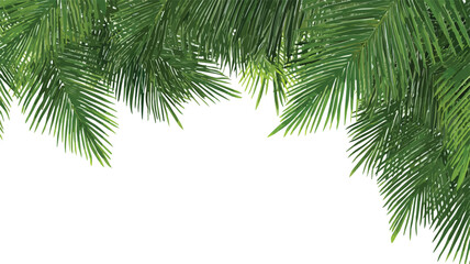 Naklejka premium Green Palm Tree Frame Isolated on White Background for Tropical Design