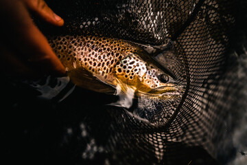 Pesca deportiva en la Patagonia Argentina