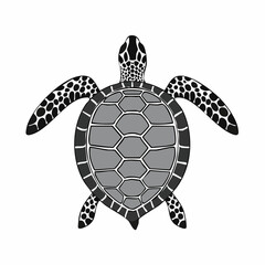Fototapeta premium turtle top view silhouette on white background vector 