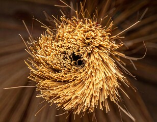 Close-up straw brush head