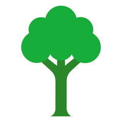 green tree with green leaves