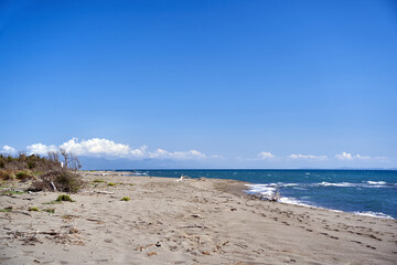 Wild, sandy beach on the Mediterranean coast on the island of Ada Bojana