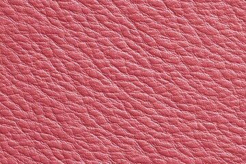 Close-up of a pinkish-red leather texture