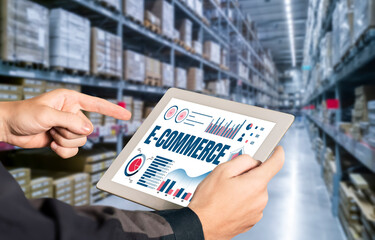 E-commerce data software provide modish dashboard for sale analysis to the online retail business