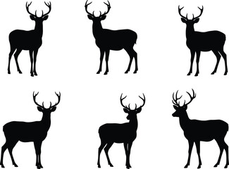 Collection of majestic deer silhouettes with antlers in various standing poses, elegant wildlife vector illustration design for hunting, forest, and nature themes.