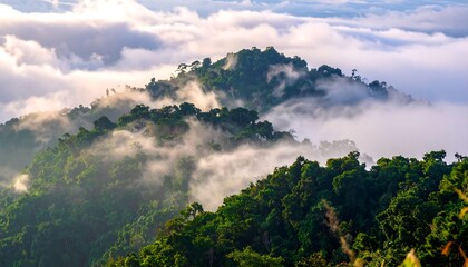 Misty mountain range shrouded in clouds