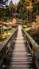 Wooden bridge through forest